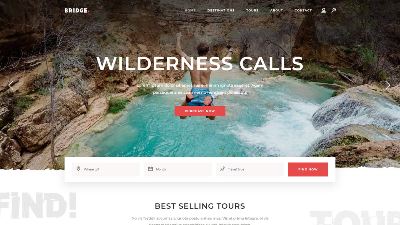 Travel Agency #5