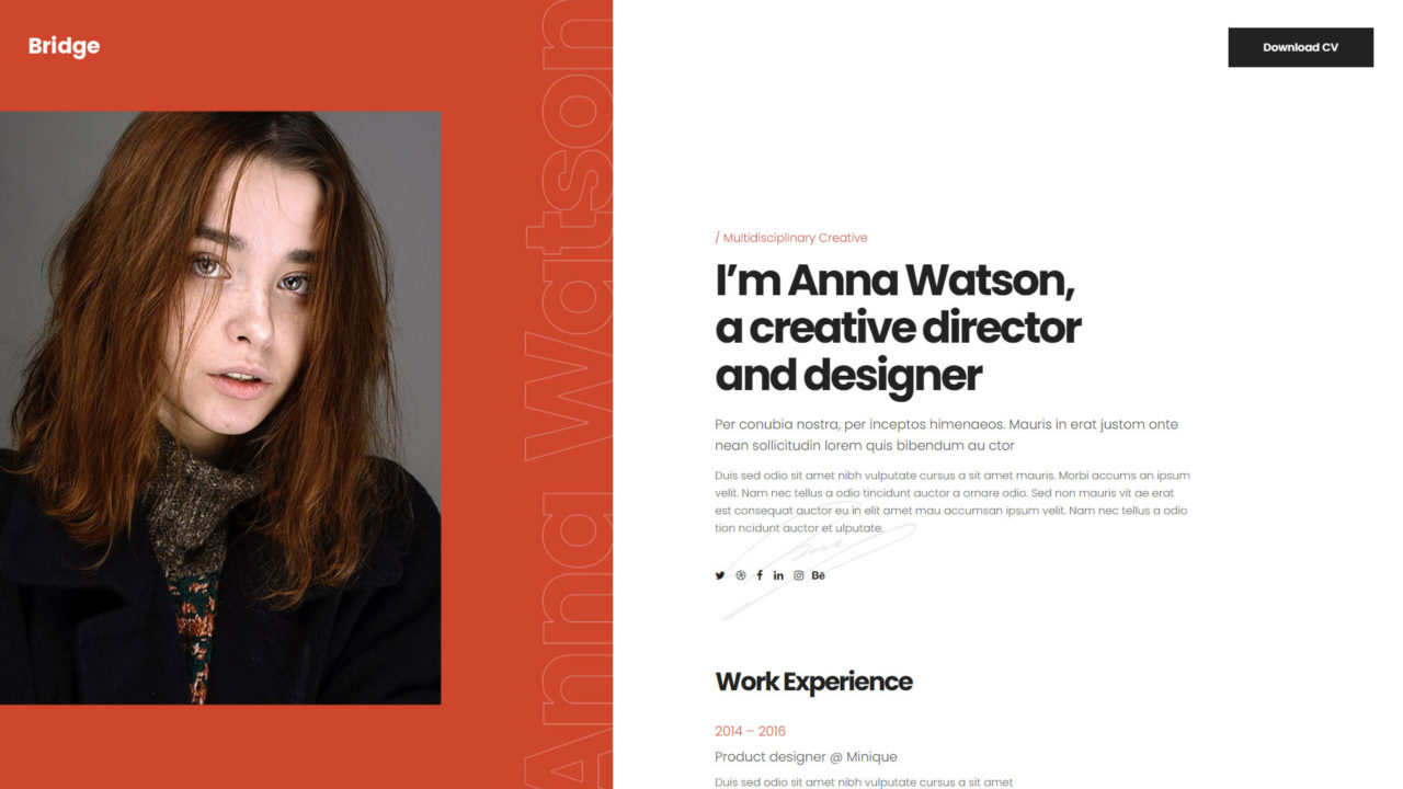 Portfolio - CV #3