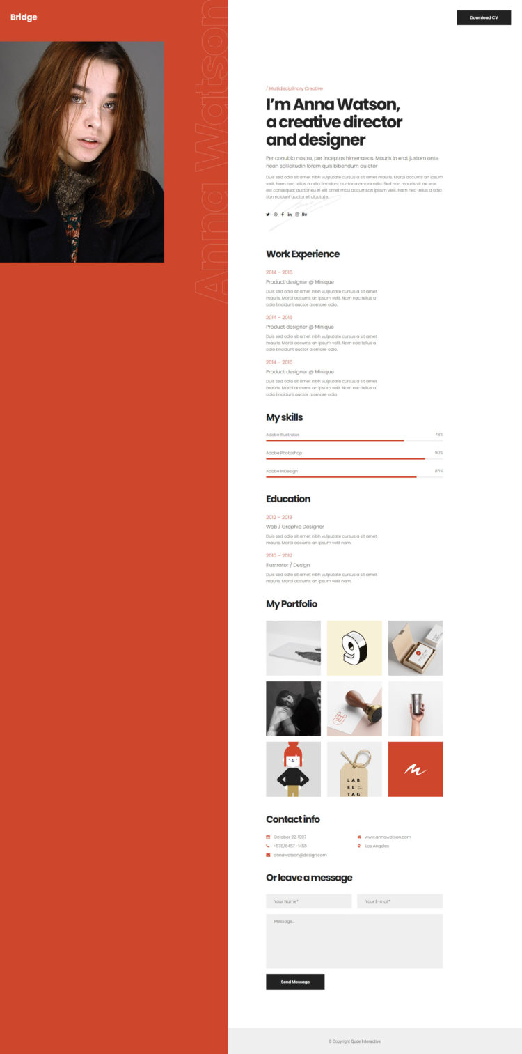 Portfolio - CV #3