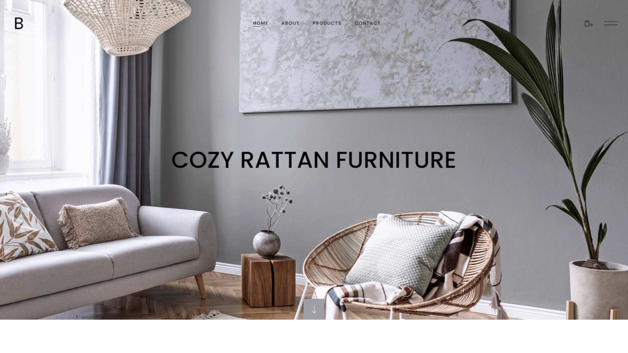Home Store #3