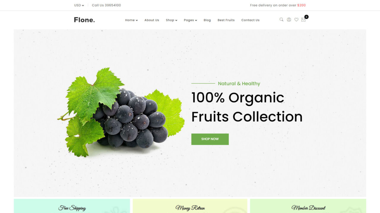 Organic Products Shop #6