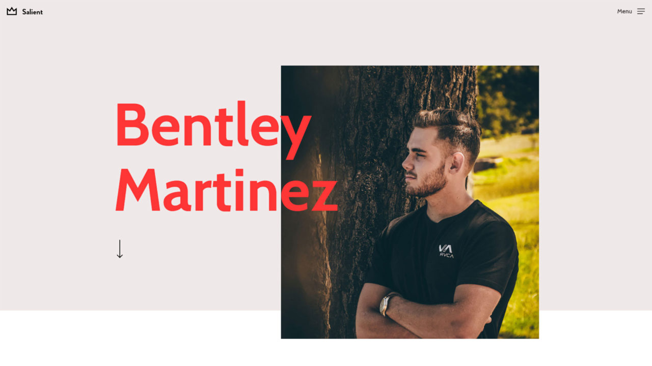Portfolio - CV #4