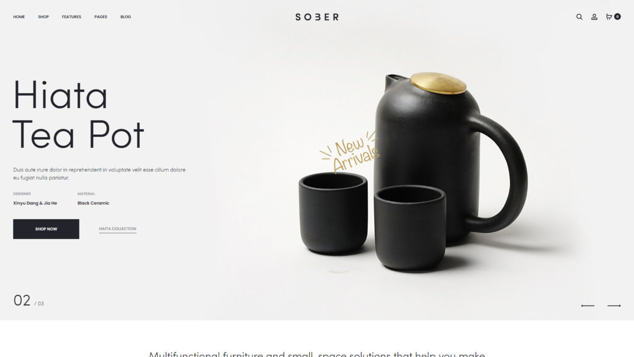 Home Store #8