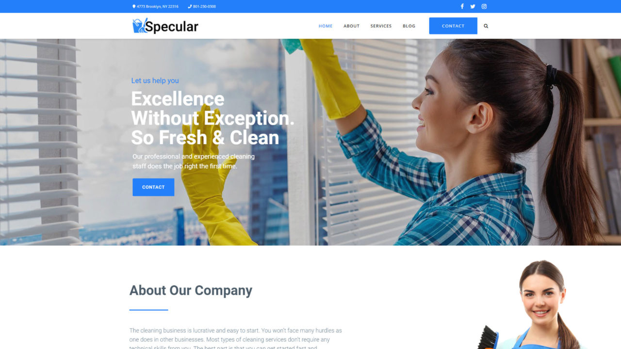 Cleaning Service #1