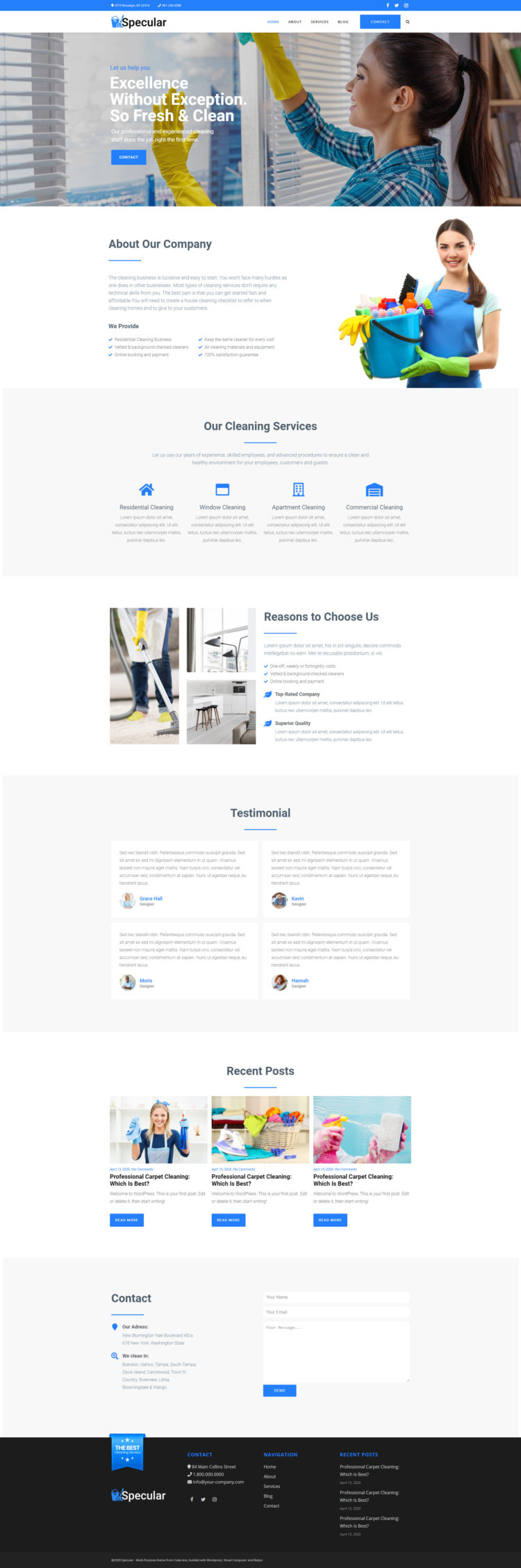 Cleaning Service #1